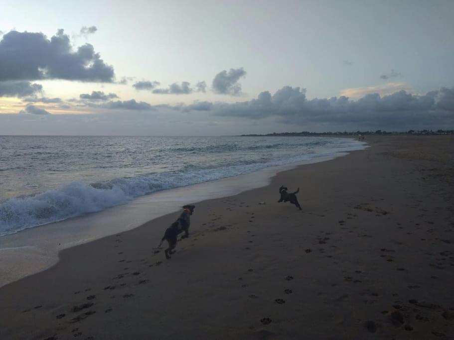 Precioso Apartamento A 50 Metros De La Playa รินกอนเดลาวิกตอเรีย ภายนอก รูปภาพ